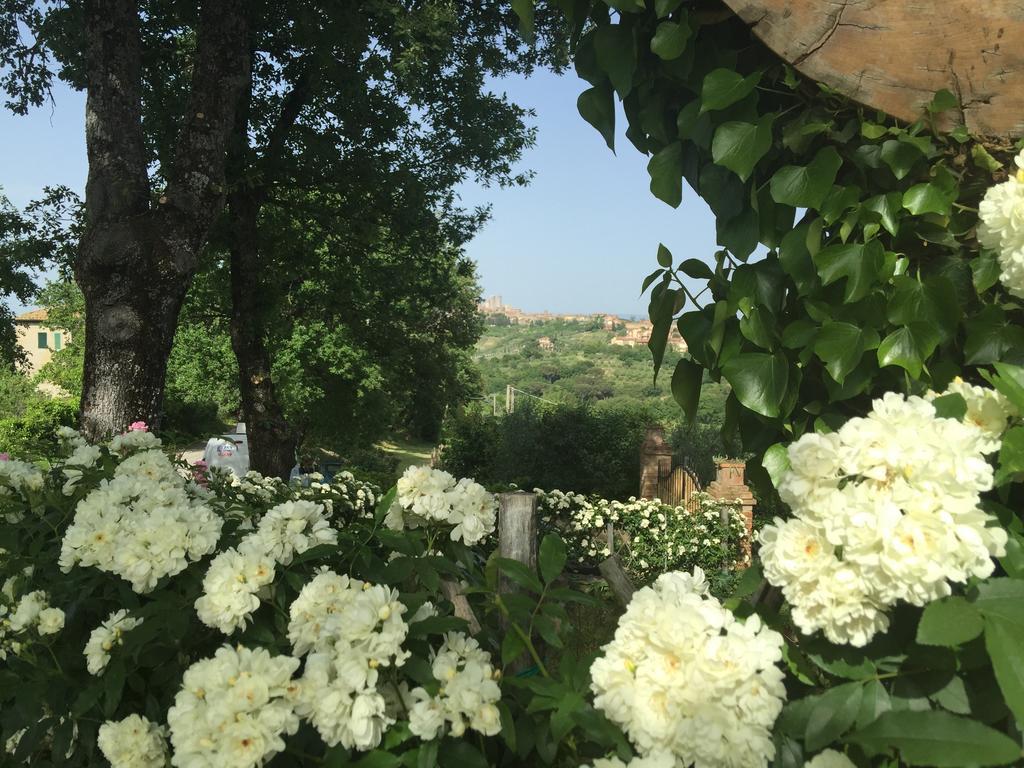 Podere Sant'Elena San Gimignano Kültér fotó
