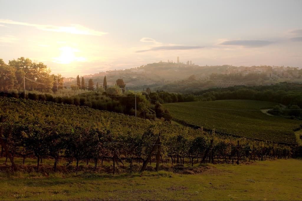Podere Sant'Elena San Gimignano Kültér fotó