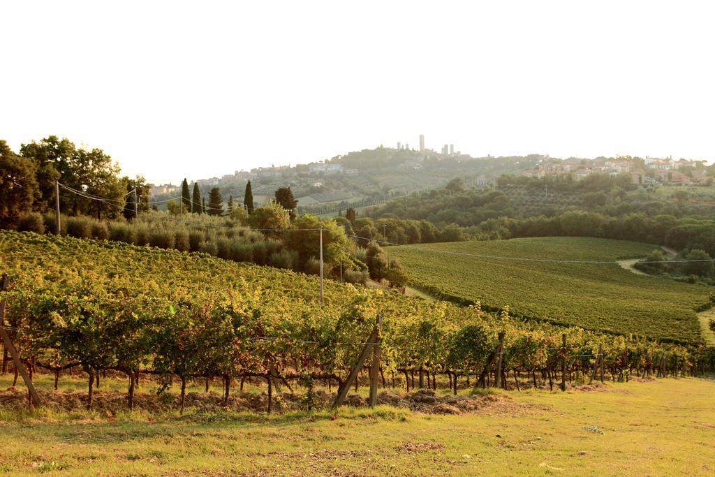 Podere Sant'Elena San Gimignano Kültér fotó